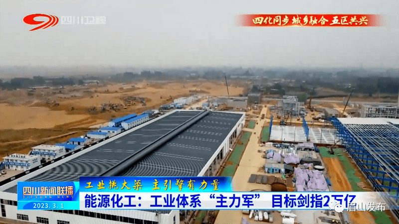 工业添加剂市场报价解析：如何规避采购风险
